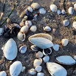 Berliner Hof App. 301 - Strandallee 141 - * Scharbeutz