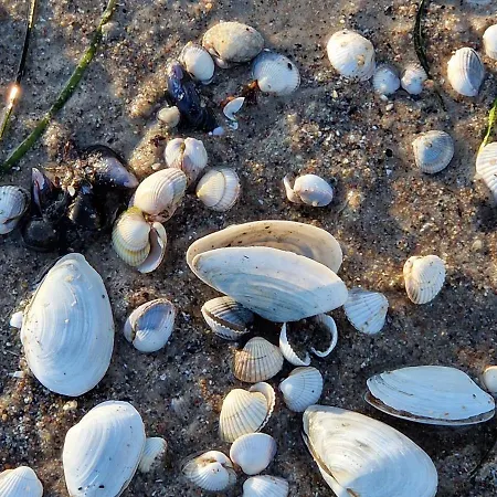 Apartment Berliner Hof App. 301 - Strandallee 141 -